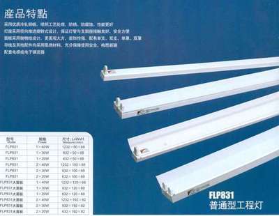 CE認證全塑料T5支架燈 安全、環(huán)保、高效的現(xiàn)代照明選擇